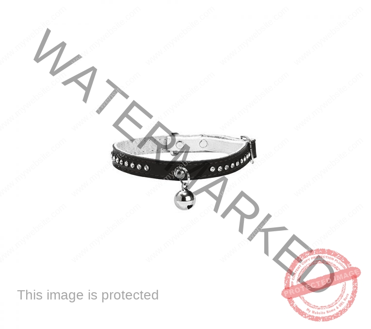 Bobby Eclat Cat Collar - Black