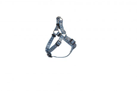 Bobby Geisha Baudrier Harness - Blue