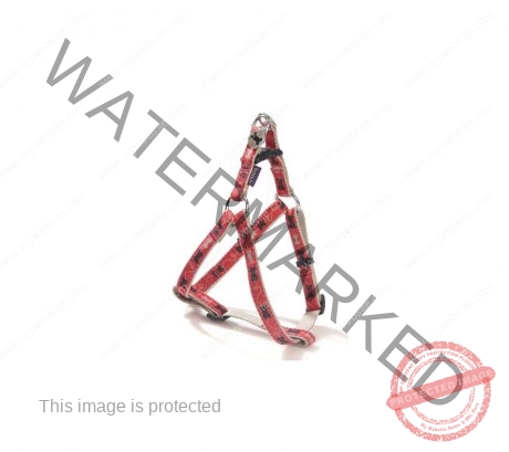 Bobby Kyrielle Harness - Red/Large