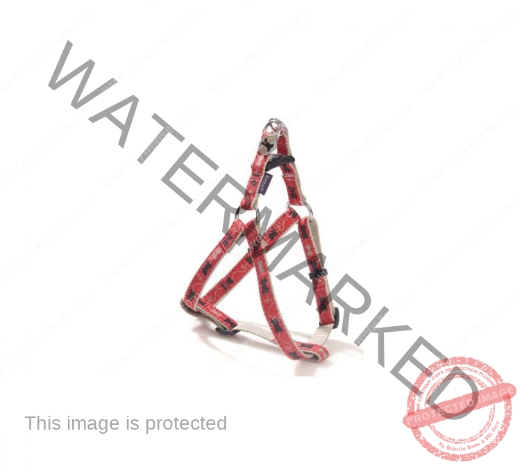 Bobby Kyrielle Harness - Red/Large