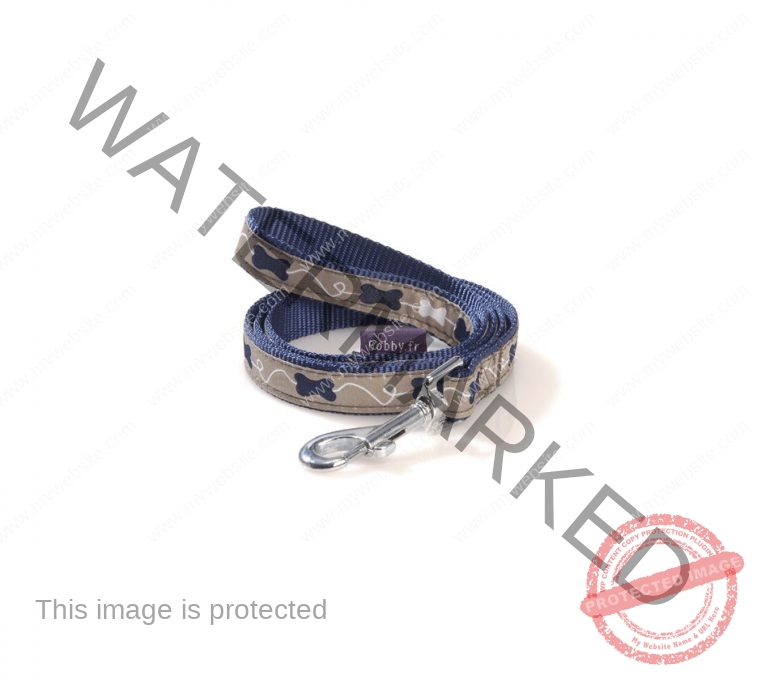 Bobby Kyrielle Lead - Blue/Large