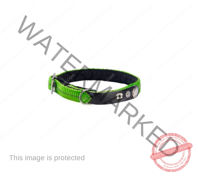Bobby Lost Cat Collar - Green