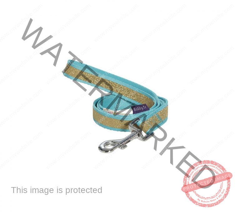 Bobby Papagayo Lead - Blue / Large