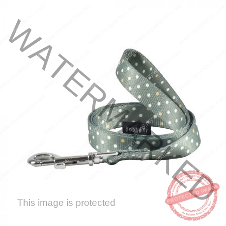 Bobby Pretty Leash - Green