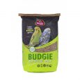 budgie (1)