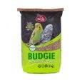 budgie_2
