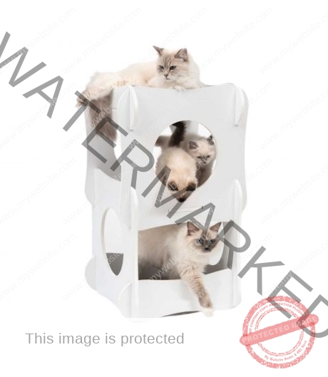 Catit Premium Cat Furniture Condo - White