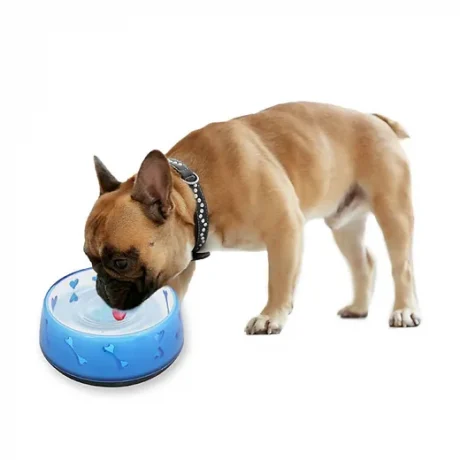 Dog Love Bowl - Blue