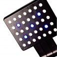 dydm146_1st_image