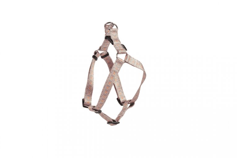 faeb8afd8694cba9263f03bb3ef4932e