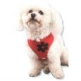 flower_harness_red2