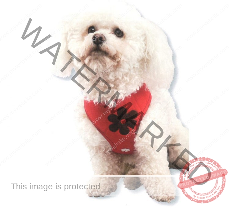 flower_harness_red2