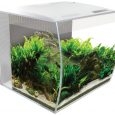 fluval_34_white
