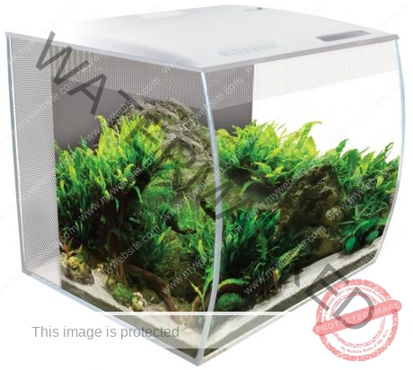 Fluval Flex Aquarium- White
