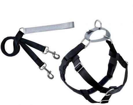 Freedom No-Pull Harness And Leash - Black