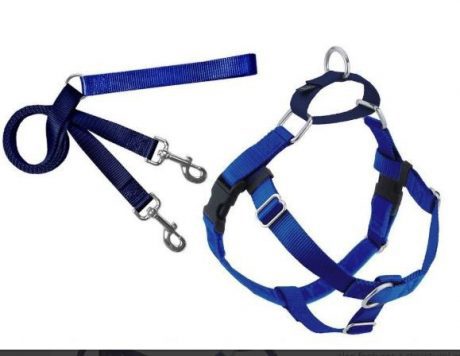 Freedom No-Pull Harness and Leash - Royal Blue
