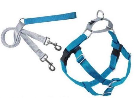 Freedom No-Pull Harness and Leash - Turquoise
