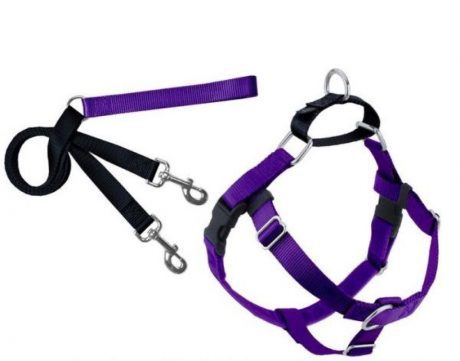 FREEDOM NO-PULL HARNESS AND LEASH - PURPLE