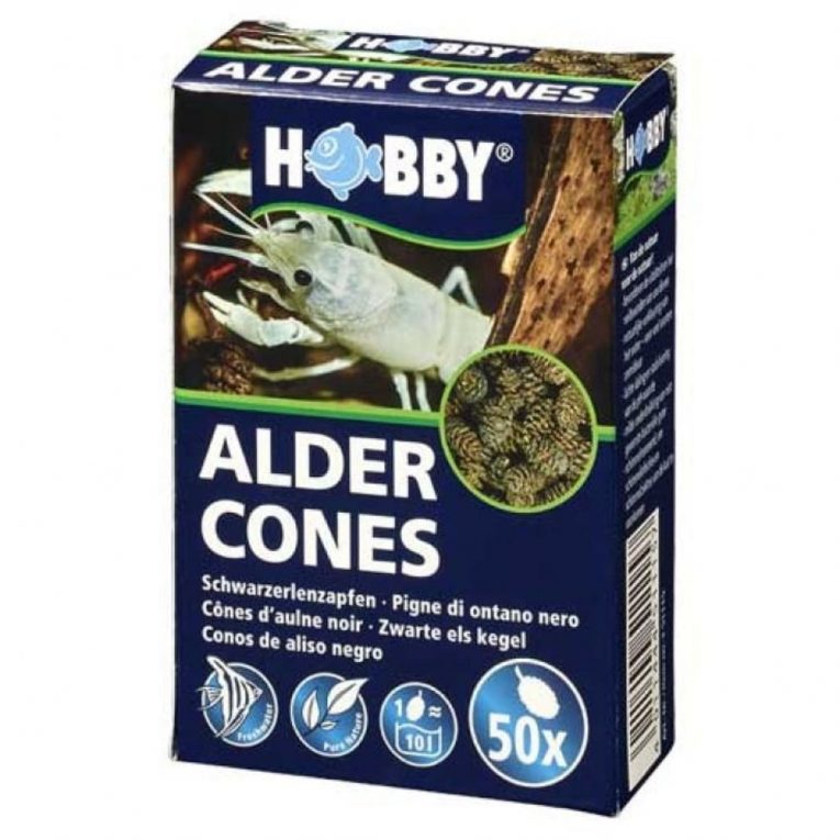 Hobby Alder Cones (50 pcs)