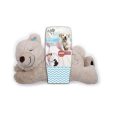 Little Buddy Warm Bear