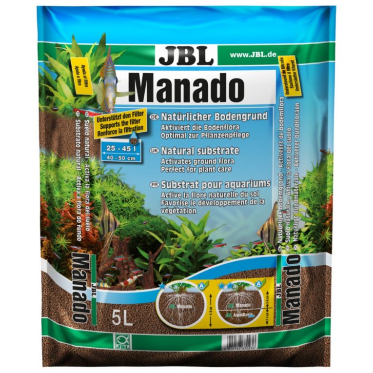 manado (1)