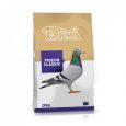 pigeons_bag_pigeonclassic