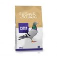 pigeons_bag_pigeonclassic_1