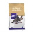 pigeons_bag_special