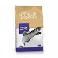 pigeons_bag_special_1