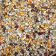 pigeons_bredding-mix