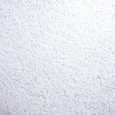 pigeons_calcium