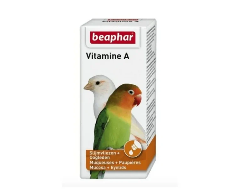 qVwccPMdKTu2gMQ2ickV0EHh3XrT7m4cSA3OvSEf