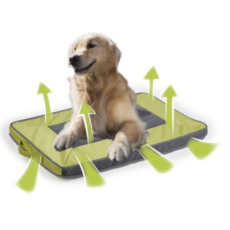 Quick Dry Outdoor Dog Mat- Green