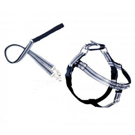 REFLECTIVE FREEDOM NO-PULL HARNESS AND LEASH