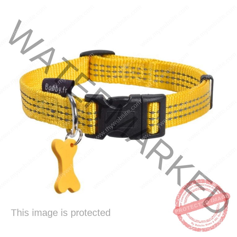 safe_Collar_-_Yellow_1 (1)
