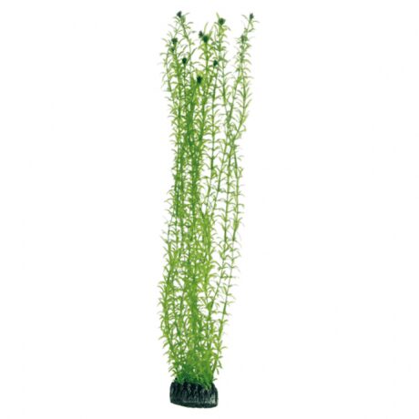 Hobby Artificial Plant - Lagarosiphon 60 cm