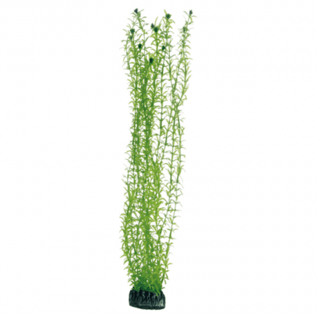 Hobby Artificial Plant - Lagarosiphon 60 cm