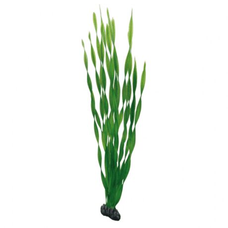 Hobby Artificial Plant - Vallisneria