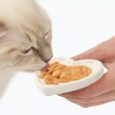serve-on-plain-dish-or-use-heart-dish-643x369_2