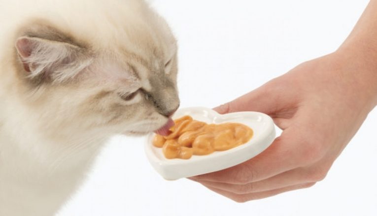 serve-on-plain-dish-or-use-heart-dish-643x369_2