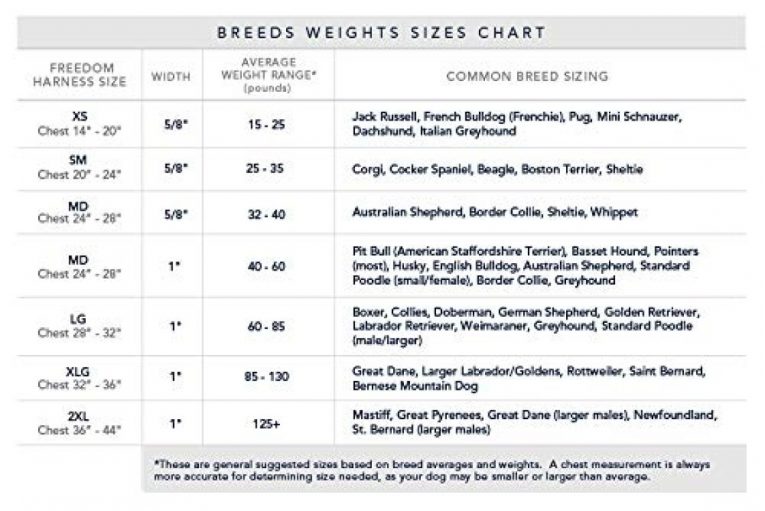 size-chart_2