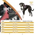 size-chart_idc_print_16