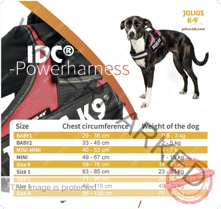 size-chart_idc_print_31
