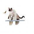Skywalk - Groom &Amp; Play Platform