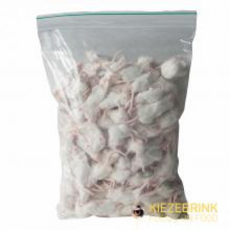 kiezebrink Small White Commercial Mice 10-20g - 1kg pack