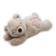 warm_bear_1