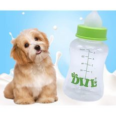 Milk & New Born