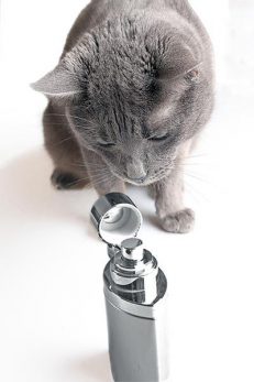 Perfumes & Colognes