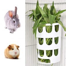 Feeding Accessories