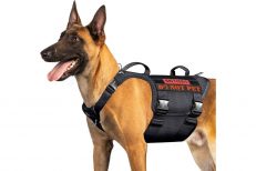 Harnesses